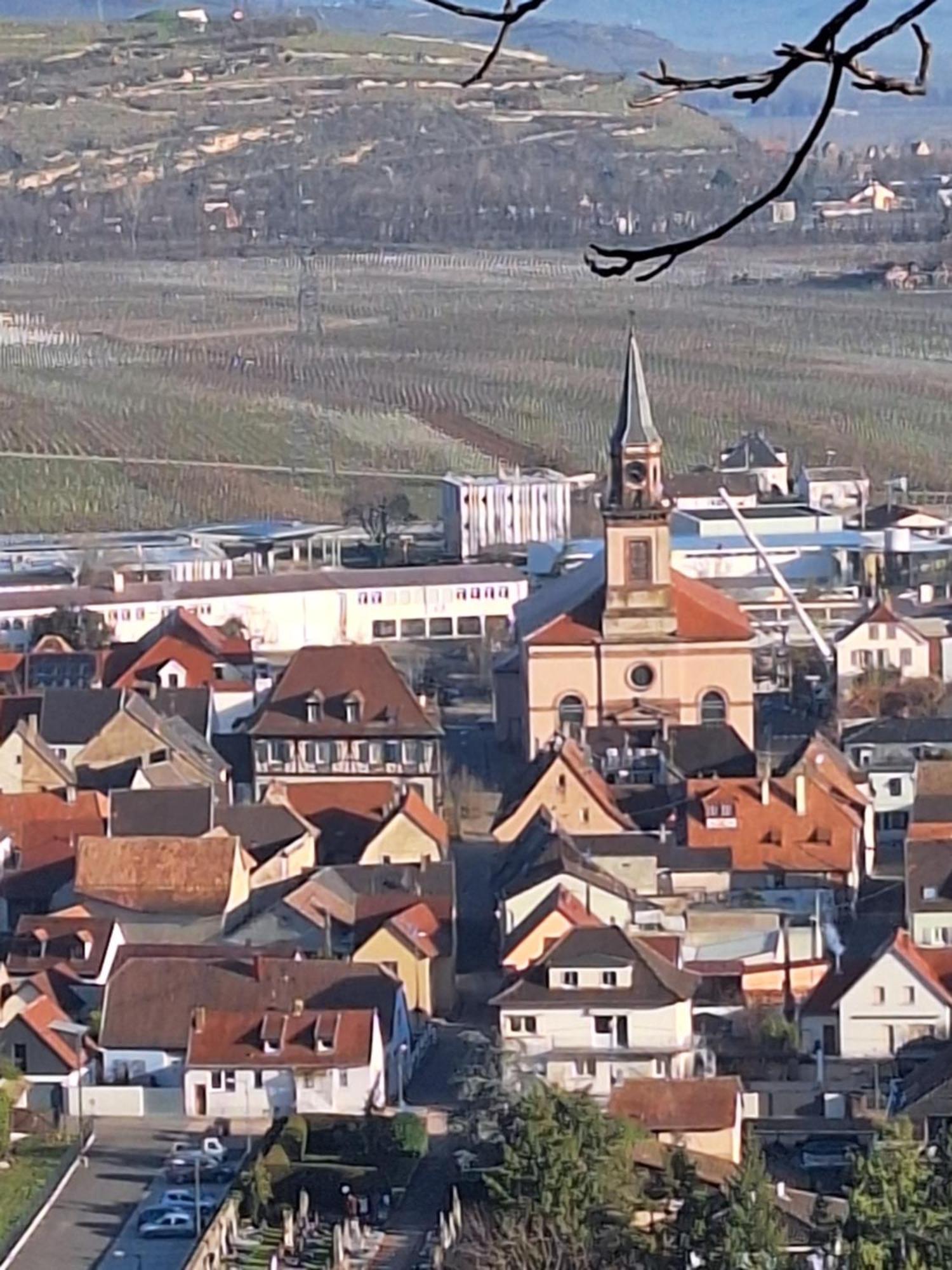 Maison Individuelle, 10 Minutes De Colmar 4 - 8 Personnes - 2 Sdb Holiday home Wintzenheim