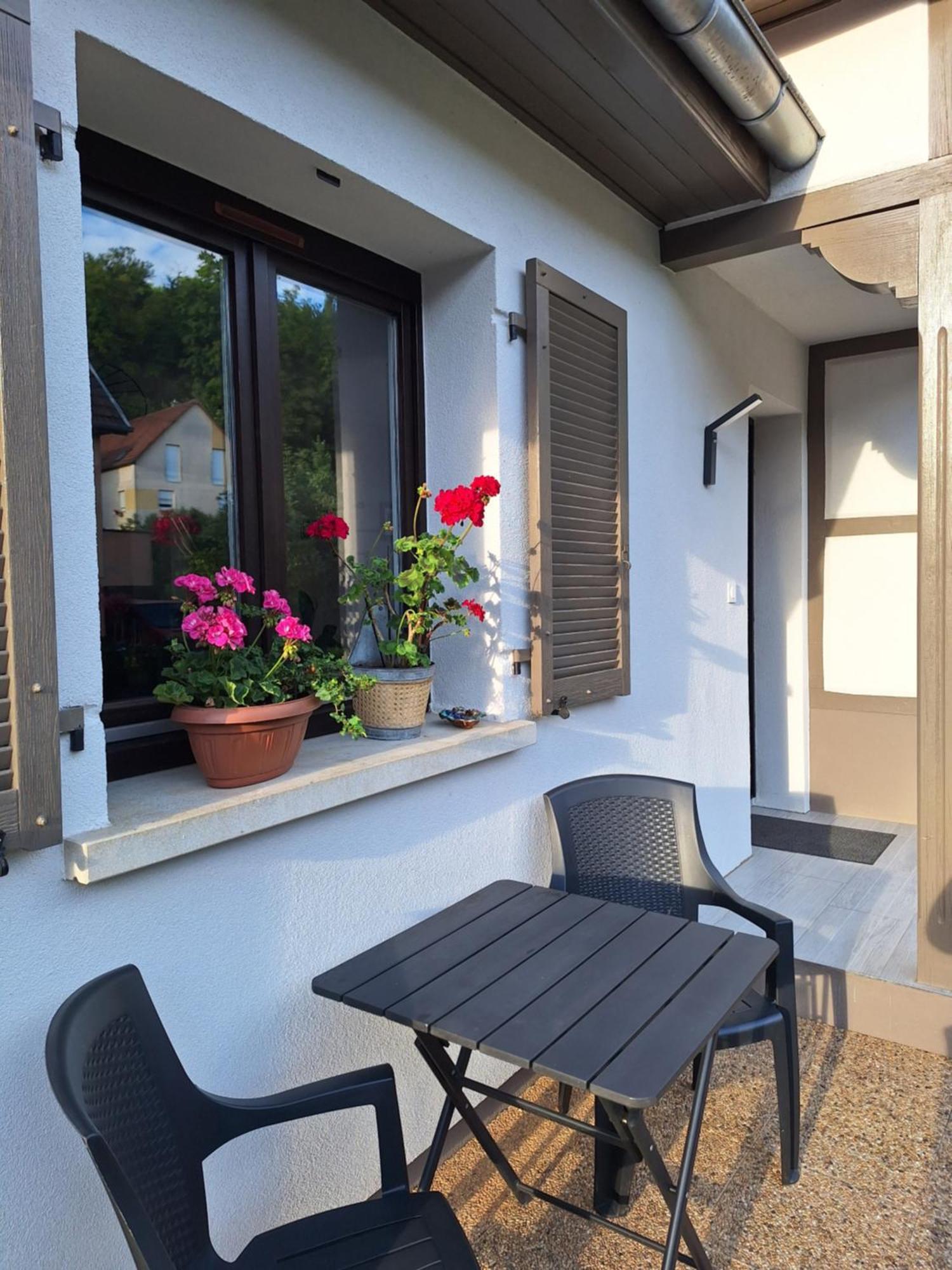 Maison Individuelle, 10 Minutes De Colmar 4 - 8 Personnes - 2 Sdb Ferienhaus *